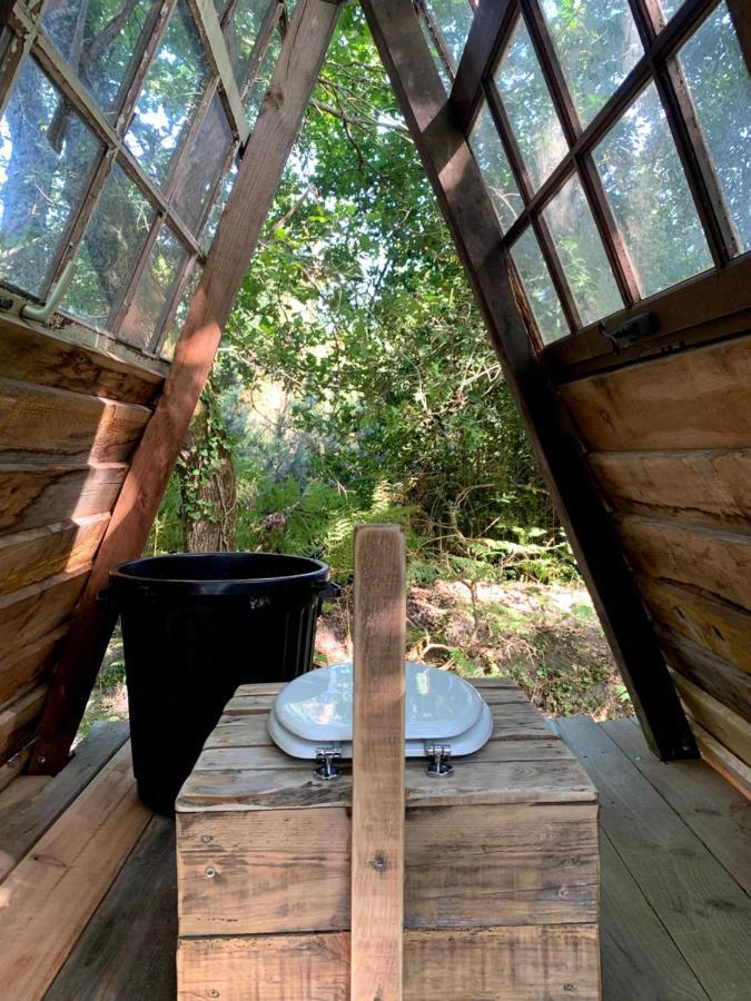 Magic Roof Top Bus With Big Bath In The Tree Forest! Mimizan-Plage Εξωτερικό φωτογραφία