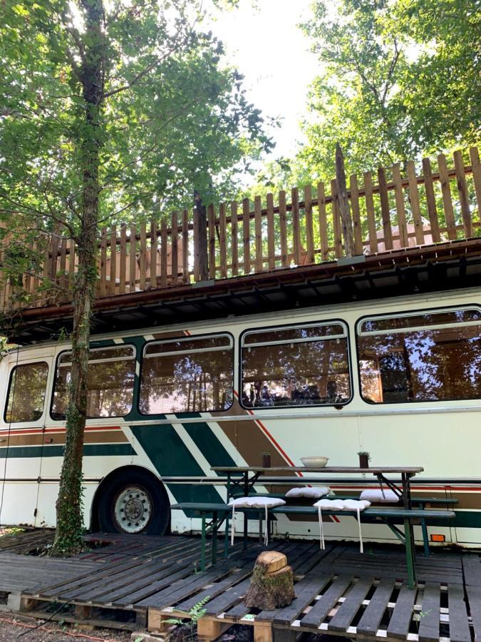Magic Roof Top Bus With Big Bath In The Tree Forest! Mimizan-Plage Εξωτερικό φωτογραφία