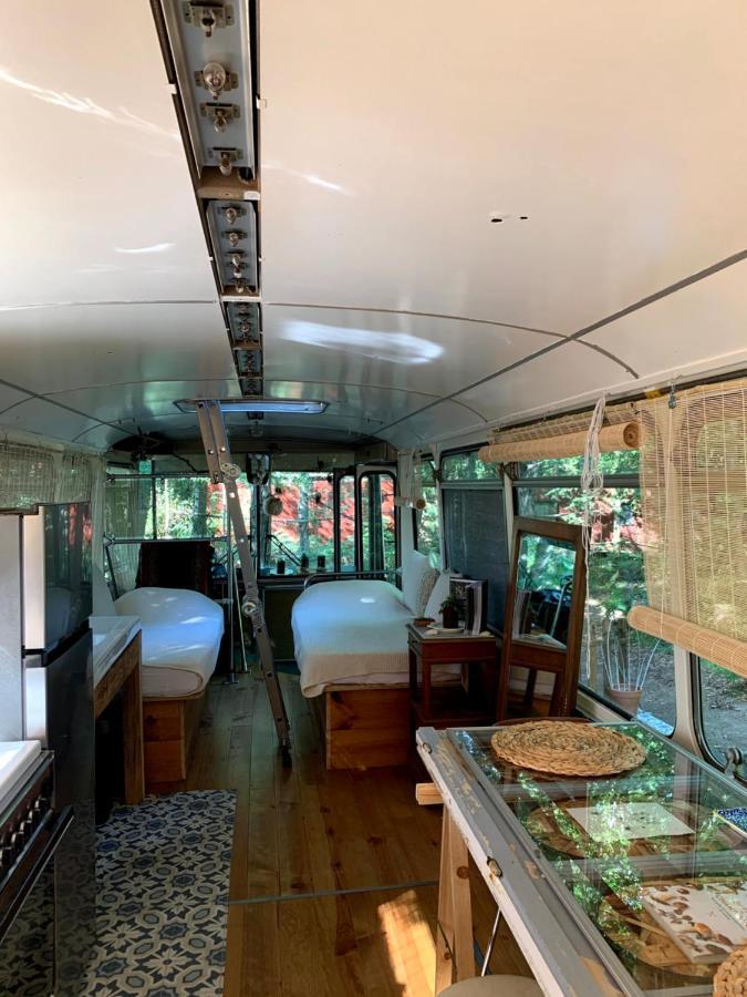 Magic Roof Top Bus With Big Bath In The Tree Forest! Mimizan-Plage Εξωτερικό φωτογραφία
