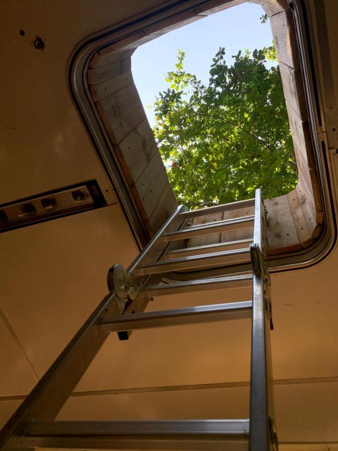 Magic Roof Top Bus With Big Bath In The Tree Forest! Mimizan-Plage Εξωτερικό φωτογραφία