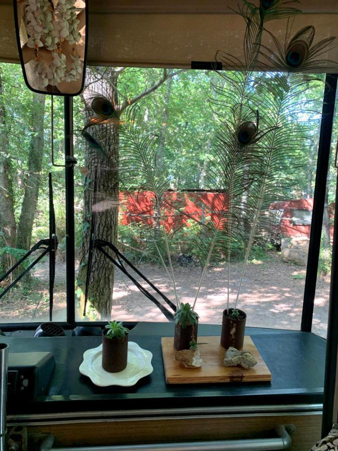 Magic Roof Top Bus With Big Bath In The Tree Forest! Mimizan-Plage Εξωτερικό φωτογραφία